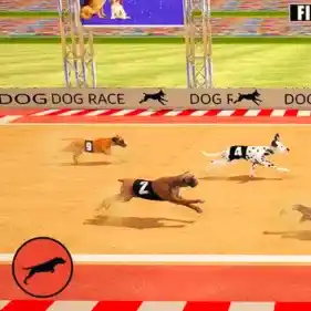 racing dog